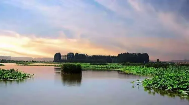 简篇-【水乡白云】半马逐梦 美景同行——奔跑在白云湖的画卷中