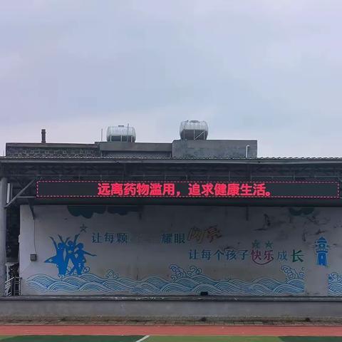 临高县新盈中心学校防治学生滥用药物专题活动简报