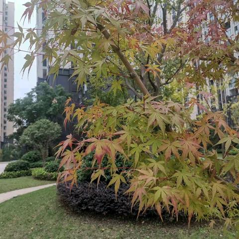 盛世滨江府安宇物业2024.10