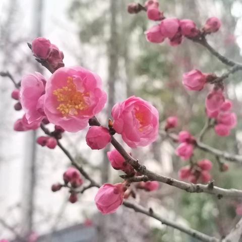 盛世滨江府安宇物业2025.02