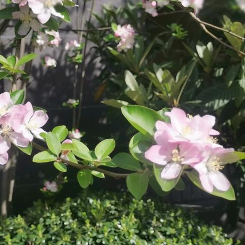 盛世滨江府安宇物业2025.3