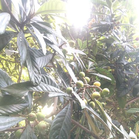 盛世滨江府安宇物业2025.4