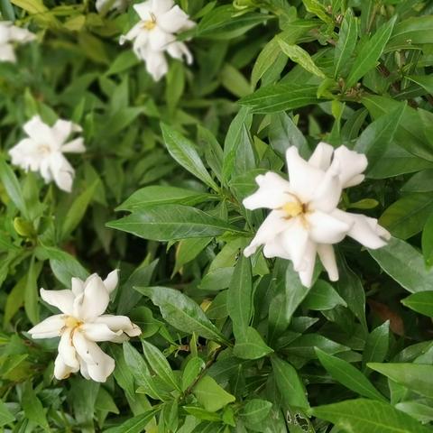 盛世滨江府安宇物业2025.5