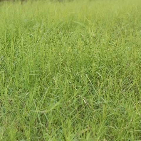 盛世滨江府安宇物业2025.8