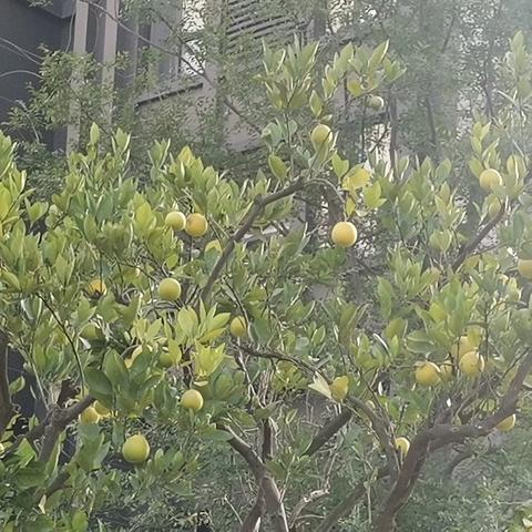 盛世滨江府安宇物业2025.10