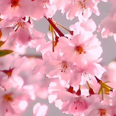 一起讲传统故事