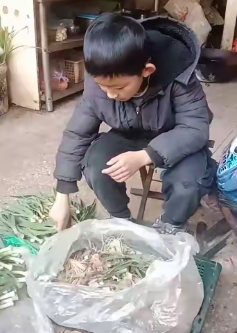 实验小学三年级14班家庭劳动教育活动