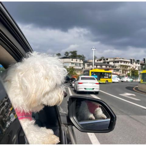 一家人，穿越一座城，国庆游贵阳（二）