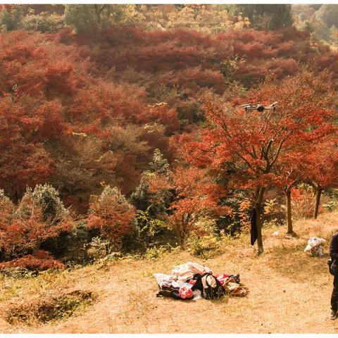 资水之北，藏着一片沸腾的火焰