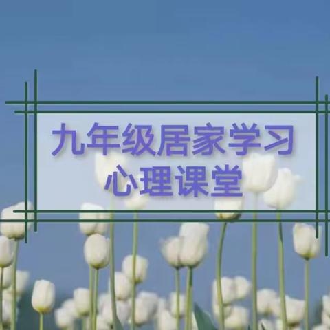 【新区心语】九年级居家学习心理调适