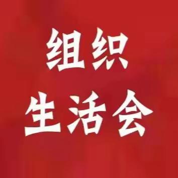 【组织生活会】农金铁军党支部召开2024年度组织生活会暨民主评议党员会议