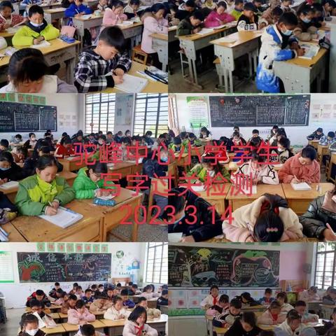 春风十里  铁树银钩——驼峰中心小学学生语数英书写过关检测活动