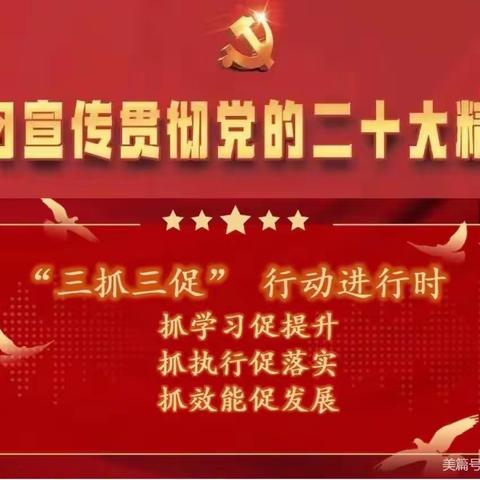 【“三抓三促”行动进行时】党旗在流感防控战线飘扬—金昌市疾控中心党支部甲流防控纪实