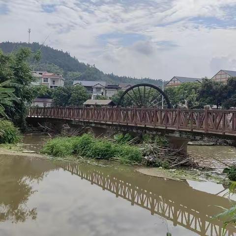 清理河道四乱，美化人居环境