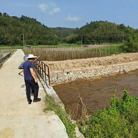 岩前镇开展“河长日”巡河活动