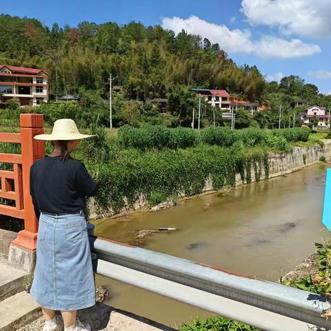 岩前镇积极开展巡河工作，守护水域生态