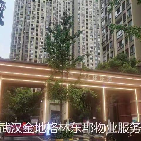 金地格林东郡物业服务中心2022年6月第4周周报