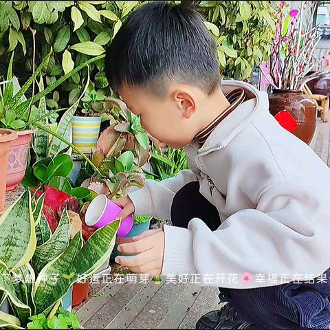 金领科技幼儿园大班第四周美篇