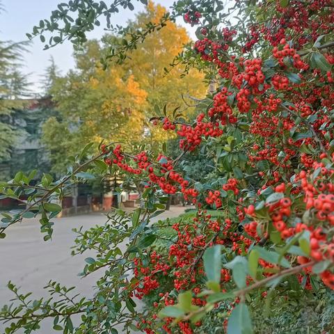 三和盛机建公司“同心抗疫、全力保产”