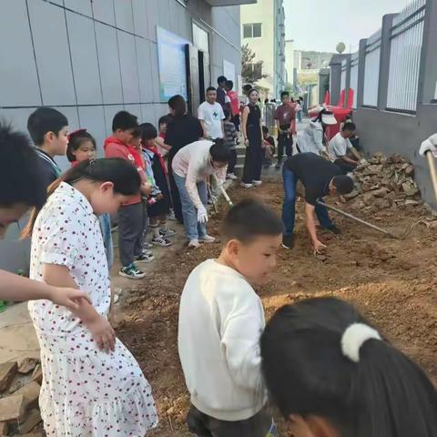 一分耕耘   一分收获 —记三（十）班打造小菜园
