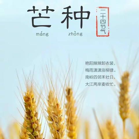 识芒种，知习俗——安居小学幼儿园芒种活动