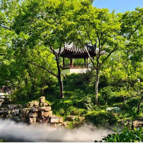 北京市陈经纶中学初二 "诗画江南" 研学记｜首站苏州：园林寻梦，灯火照古今