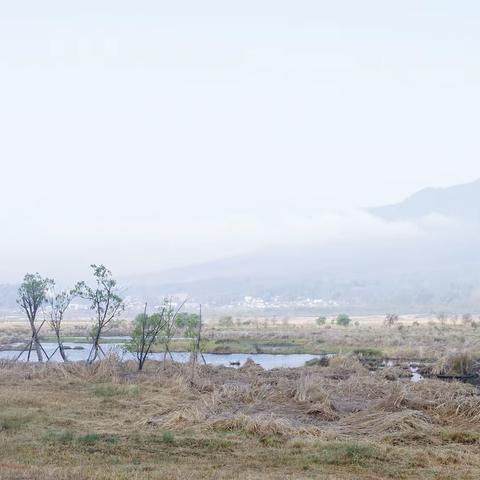 滇西游（2）（第6期2023年总第591期）