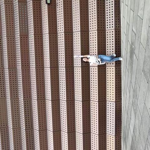 放飞-照片后面的故事