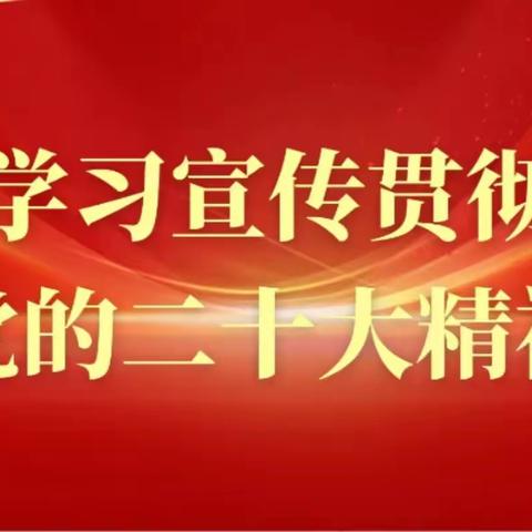 彬州市应急局学习贯彻党的二十大会议精神