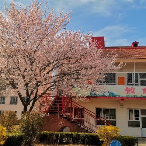 品质飞龙 百花争芳——长治市潞州区飞龙中学开展班级花卉评比活动