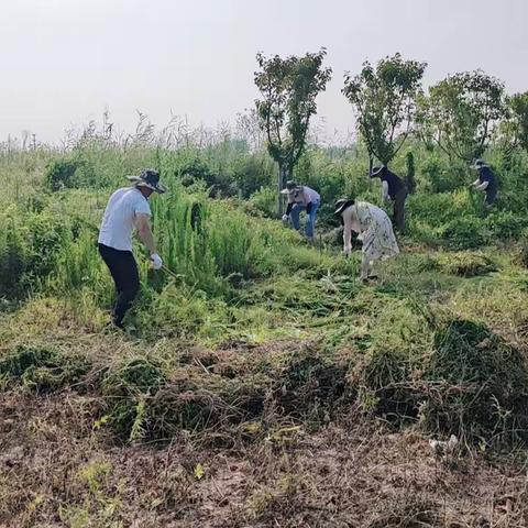 “暑”你最美，七夕硬核表白基层工作者