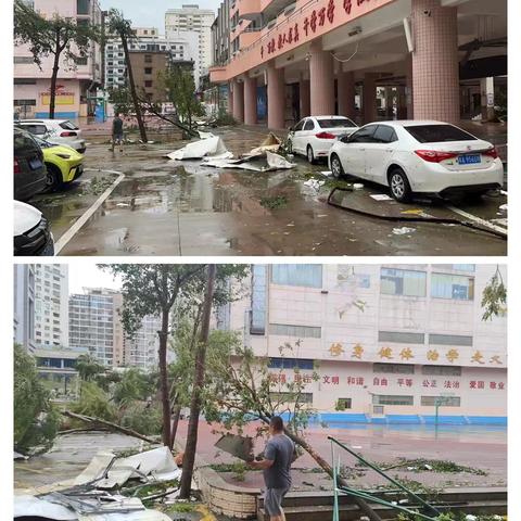 台风肆虐留狼藉，党员齐心焕新颜——海口九中党员教师参加灾后劳动纪实