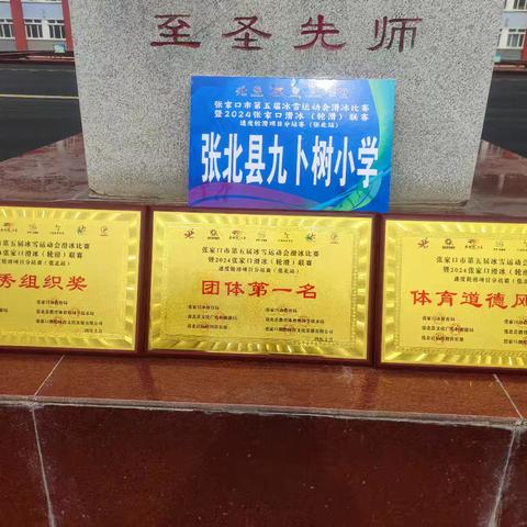 飞轮燃激情，赛场展英姿——九卜树小学在2024张家口滑冰（轮滑）联赛喜获佳绩