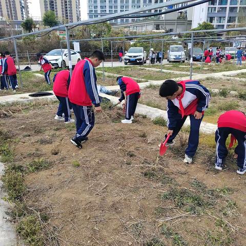 播种绿意，收获成长