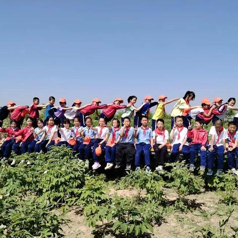 拥抱万亩牡丹园，放飞青春梦想-----同家庄镇中心小学研学旅行