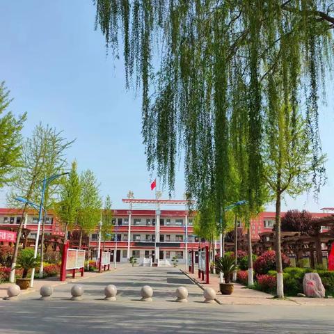 专业引领明方向，听课评课促成长——2023年马村中学新入职教师汇报课活动纪实