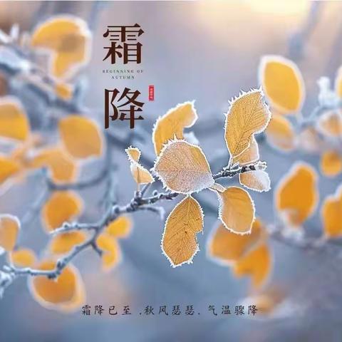 【全环境立德树人】邂逅节气之趣，乐在霜降之旅——临邑县师范附属小学崇文校区二年级组开展二十四节气主题活动