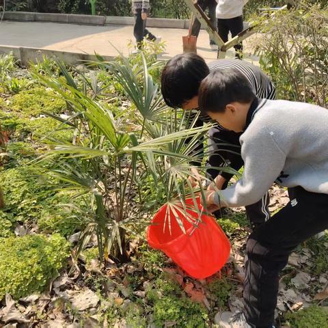 学校保洁大扫除 营造清新校园环境