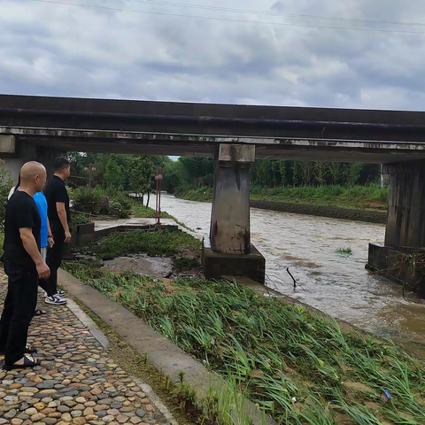 溪口镇：共建绿色生态，行动治河护河