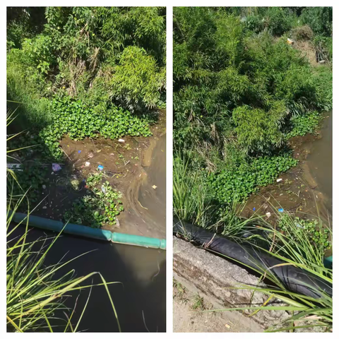 溪口镇：清理水葫芦，还河道一片清澈