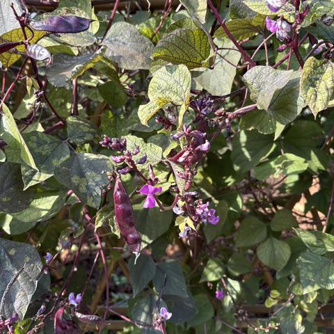 20251123太湖缥缈峯登山