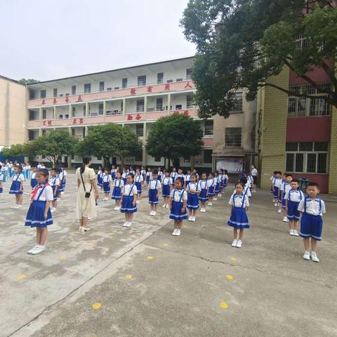 阳光体育伴成长  体操比赛展风采