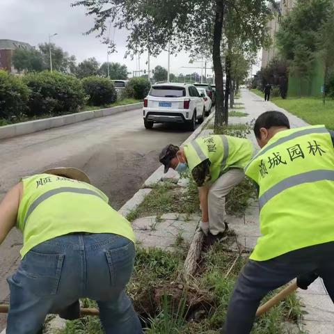 应对暴雨天气，顺城园林抢险在行动