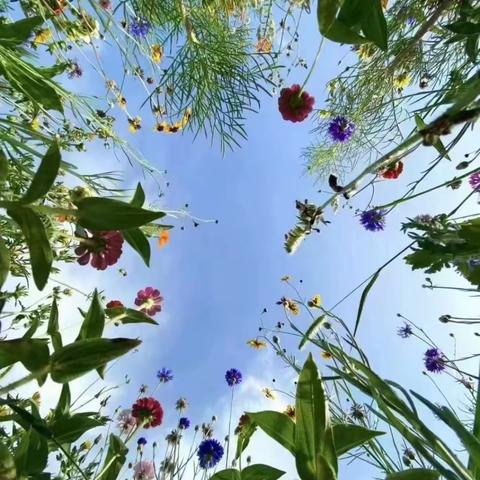 融绘与新 · 观意 2021级艺术硕士美术教育方向 毕业作品展