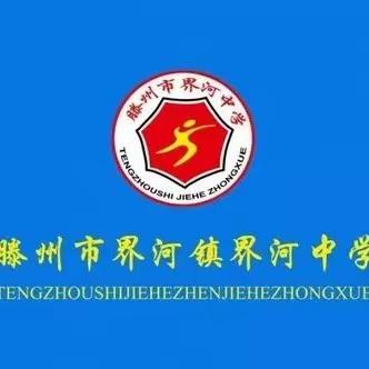 行远自迩,笃行不怠——界河中学新课程系列全员大培训纪实