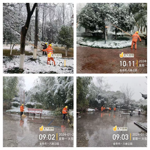 以雪为令，除雪护绿保安全