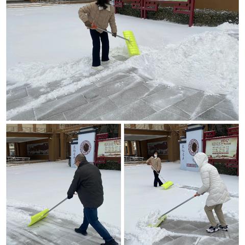 初雪映校园，除雪暖人心——中都路小学教职工扫雪纪实