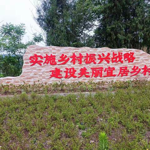 青村茶舍||“宜居乡村-天灵小院” 文旅推介直播活动