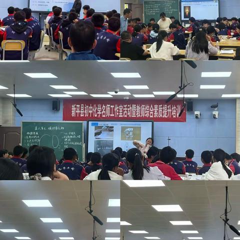 杏坛匠心 寻梦化学 ——新平县初中化学综合素质提升暨名师工作室活动