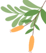 湖畔双语幼儿园2025年春季学期开园第一课